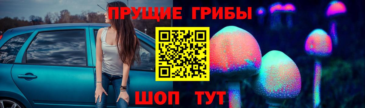 Галлюциногенные грибы GOLDEN TEACHER Новозыбков